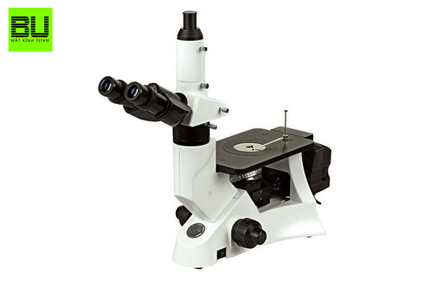 Liệu việc soi kính hiển vi nhiều có hại mắt không?